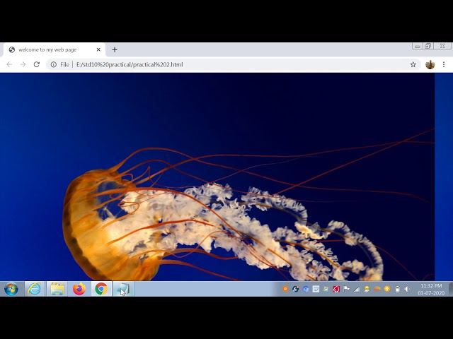Std-10 Ch 2 -Head and Body Section Practical(Part-1)