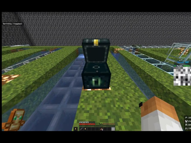 New Donut Smp Dupe 1 21 11 UNPATCHED still working 1080P