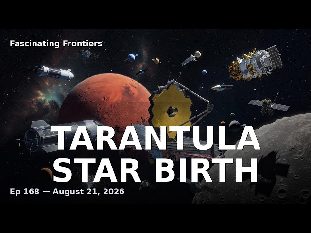 NASA Hubble Chandra Webb Capture Tarantula Star Birth