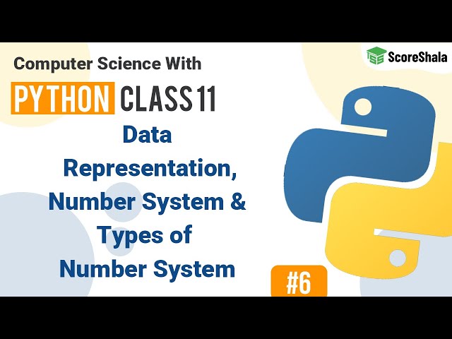 Data Representation, Number System & Types of Number System | Class 11 Computer Science #06