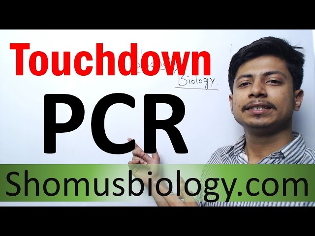 Touchdown PCR