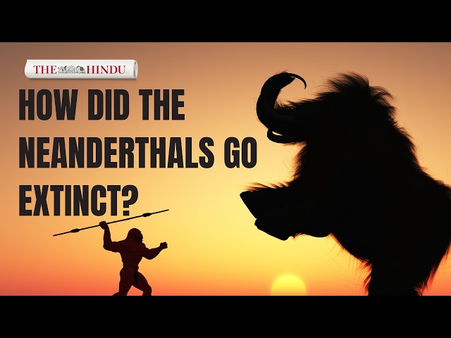 How did the Neanderthals go extinct?