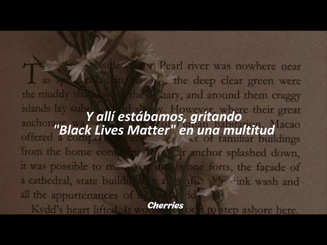 Text Book -  Lana del Rey (Letra Español)