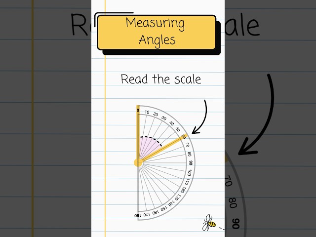 Protractor Made Simple – Measure Angles Like a Pro!