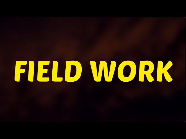 What Does FIELD WORK  Means || Meanings And Definitions in ENGLISH
