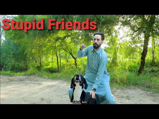 Types of stupid friends (part 2) Buner vines new funny video