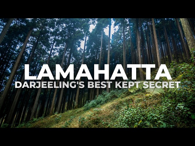 Don’t Visit Lamahatta Before Watching This! (Ultimate Offbeat Travel Guide)