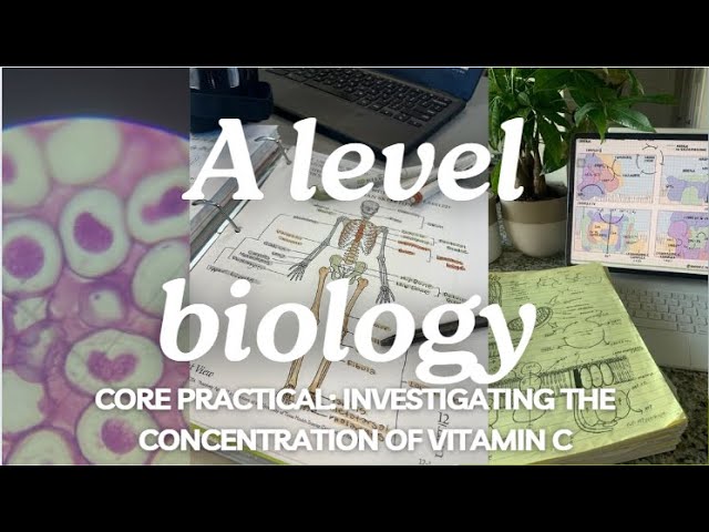 A level biology edexcel A SNAB: Vitamin C Practical
