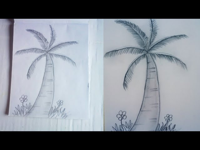 Palm tree🌴 drawing with pencil !! Easy art for beginners and kids @thecraftyandprevin 