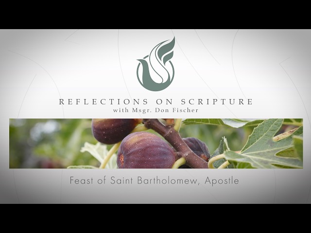 PRI Reflections on Scripture | Feast of Saint Bartholomew, Apostle