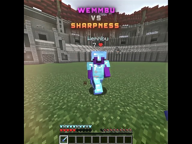 Wemmbu Faces Sharpness..🗿