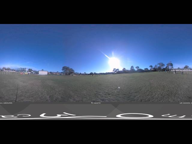 A morning at Command Dog Training