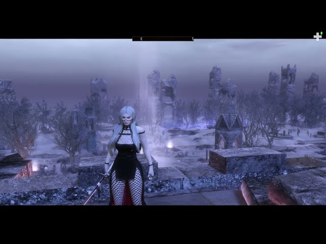 Skyrim with modern animations SkySA/MCO