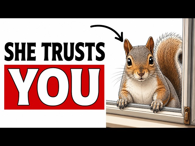If a Squirrel Comes Close to You, This Is What She's Trying to Tell You