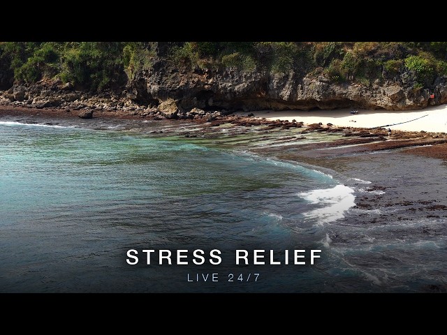 LIVE 24/7 · Indonesia · Sunlit Shore · Wave Sounds for Stress Relief · 4K