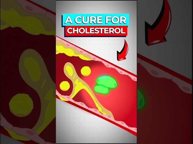 Scientists Create Cure for High Cholesterol