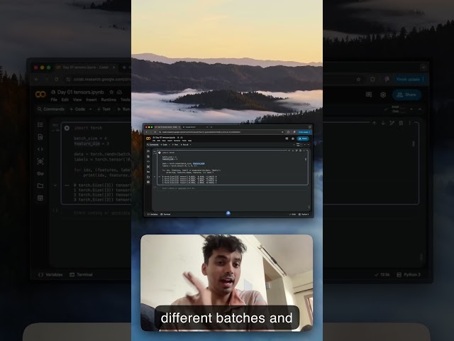 Short 27 — Mini Batch Example Like Training