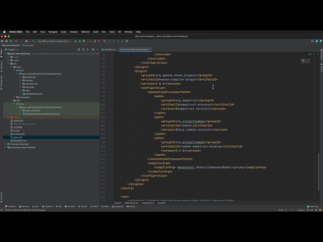 Spring Boot Project Review