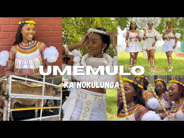 UMemulo ka Nokulunga