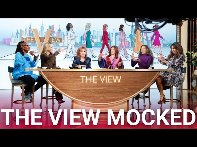 'Landman' hilariously roasts 'The View' hosts as a bunch of 'pissed-off millionaires b****ing'