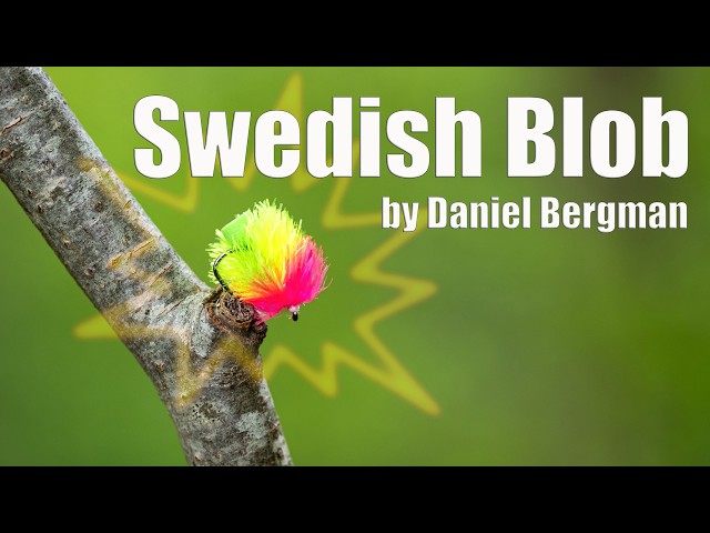 Swedish Blob - Daniel Bergman