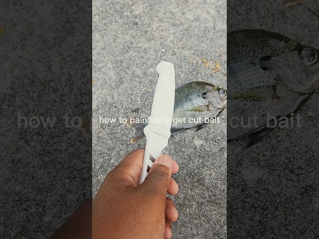 #soapcutting