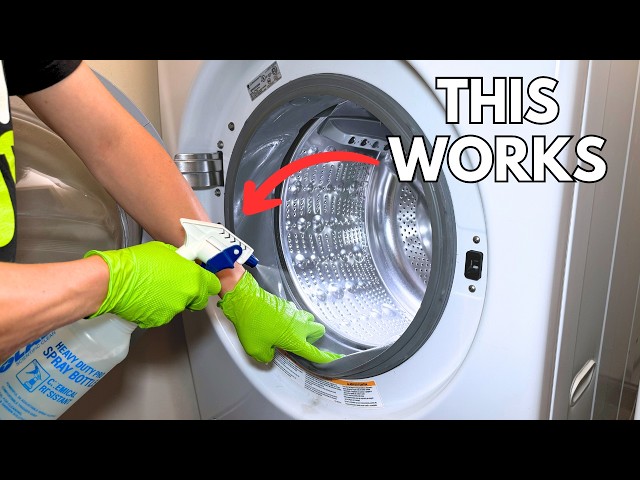 The Best Way to Clean Your Front-Load Washer Rubber Gasket!