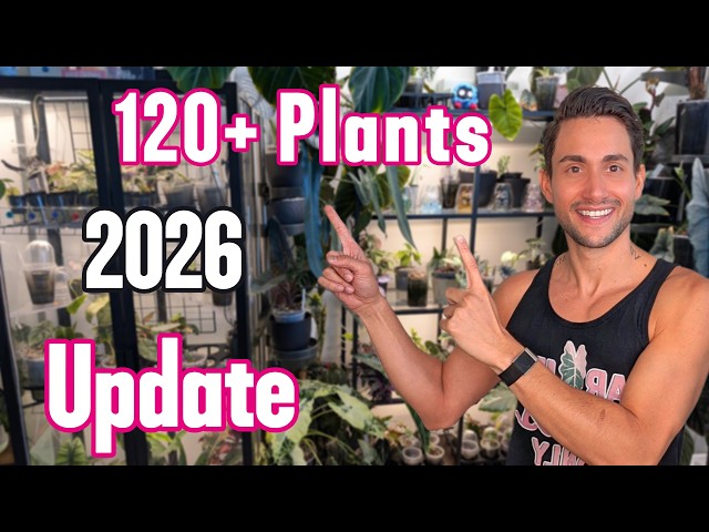 My 2026 Aroid Collection Update | 120+ Rare  Houseplant Tour
