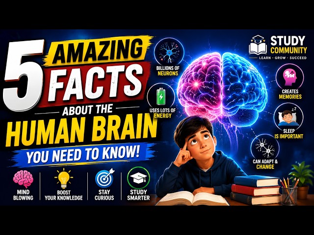 🧠 Did you know your brain is one of the most amazing organs in the human body?
