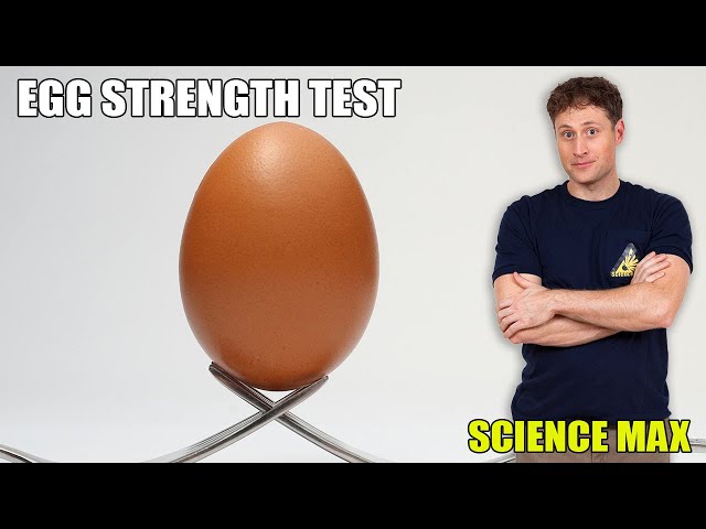 🥚 FRICTION EXPERIMENT & EGG STRENGTH TEST + More Experiments At Home | Science Max | NEW COMPILATION