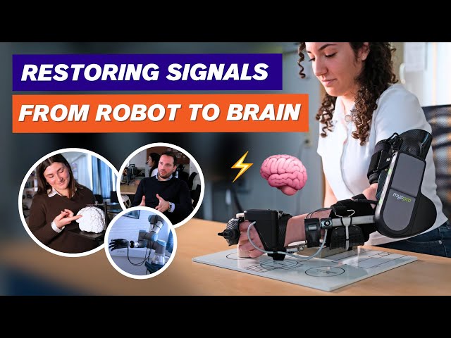 How Chalmers researchers develop the future of neurotechnology