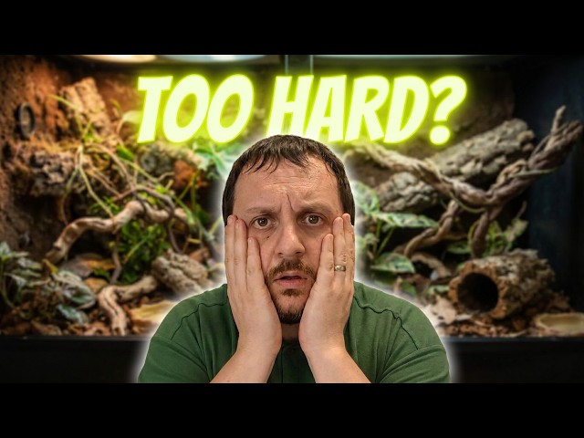 Beginners Are Making This Reptile Mistake