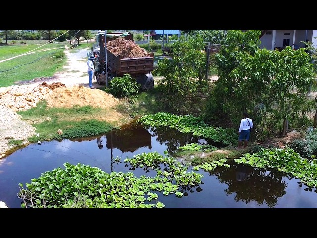 First Start Amazing PROJECT!! Filling Land Delete Deep Fish Pond Use Strong Bulldozer & 5Ton Truck.