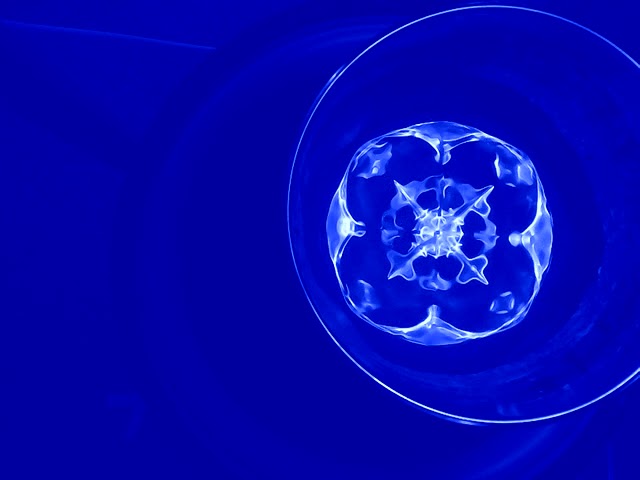 cymatics sacred geometry formed by sound