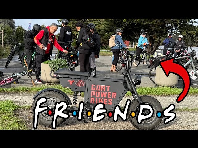 I Took The Mini Goat To A Test Ride Out - Best Way To Make Friends ?