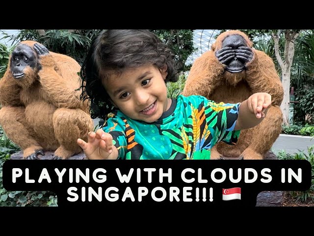 Jewel Changi Airport Canopy Park! Topiary Walk, Foggy Bowls #singapore #fun #howto #anime #vlog