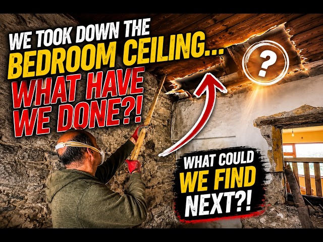We Took Down the Bedroom Ceiling… What Have We Done?!