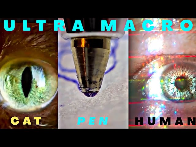 Ultra Macro Zoom in | Wow Macro Shots 2020 | Satisfying Zoom | #MacroZoom #ultramacrozoomin