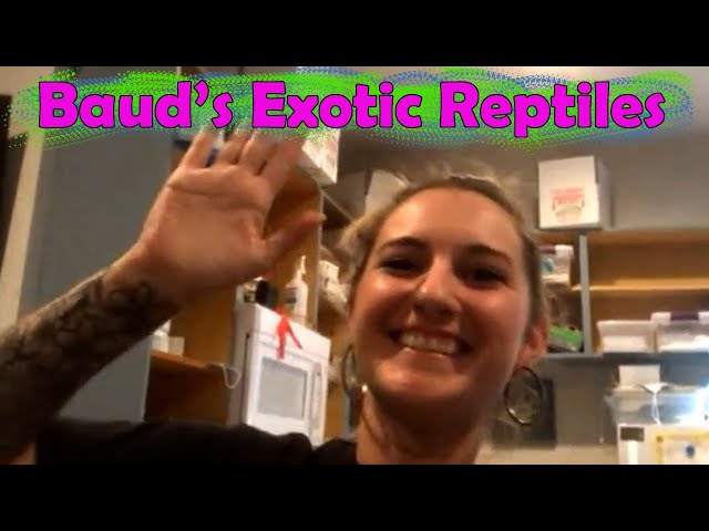 We Visit Baud's Exotic Reptiles!