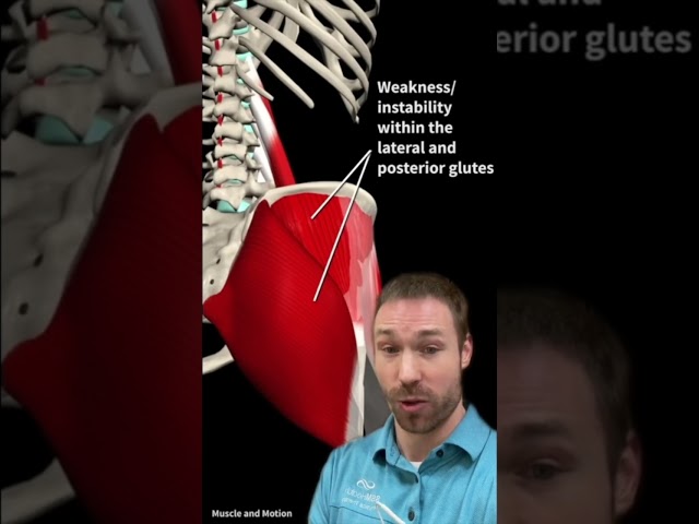 Best Exercises For Tight/Painful Hip Flexors