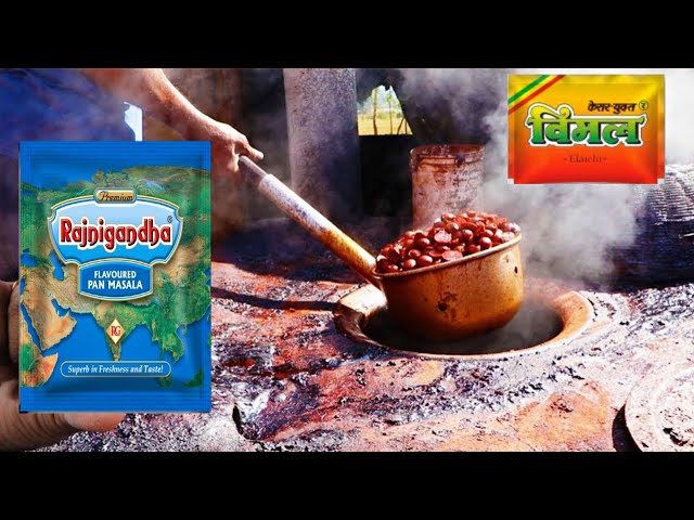 How Vimal Gutkha Is Made in the Factory: Full Details. Vimal Gutkha Making Factory Process