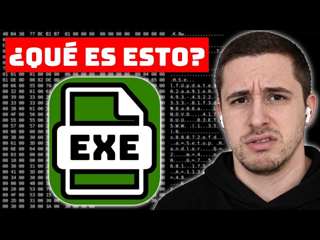 You Don't Understand WINDOWS Binaries (Until You Watch This)