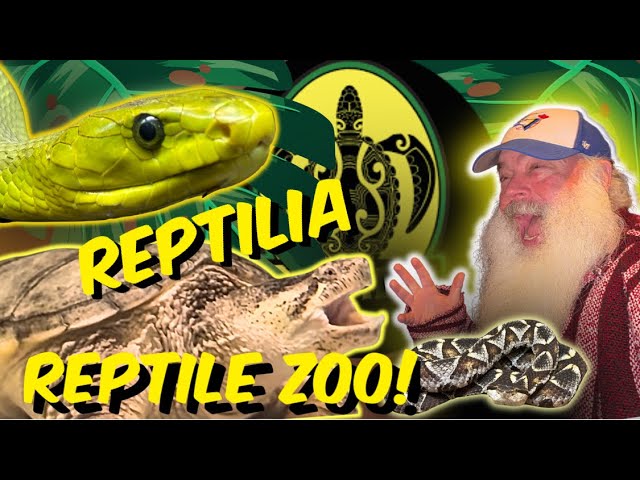 Wow! So many animals!