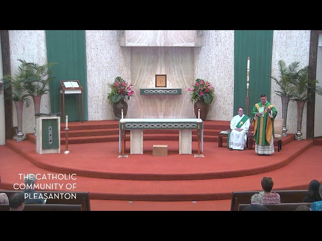 Sunday Mass Live Stream - August 9, 2026: Nineteenth Sunday in Ordinary Time