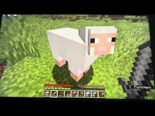 Survival Mode And Tips-And-Tricks! Minecraft: Java Edition Gameplay