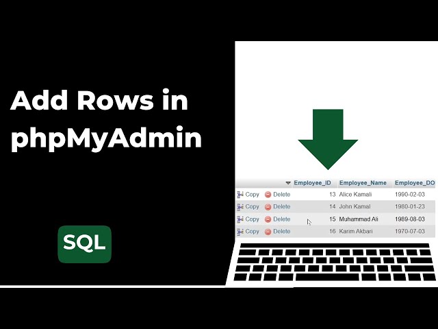 How to Insert, Export, and Import Data in phpMyAdmin | Beginner MySQL Tutorial