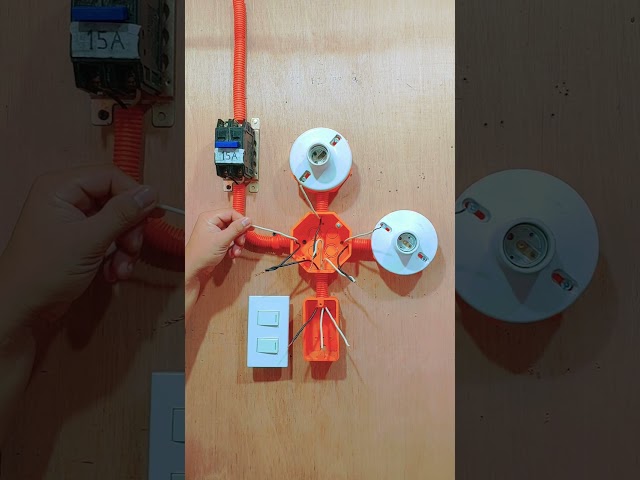 2 gang switch with 2 bulb wiring connection