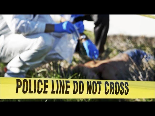 Forensic Science Technicians Career Video