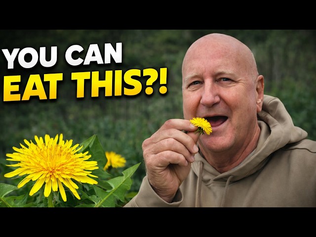 Why are people EATING Dandelions from their Yard?