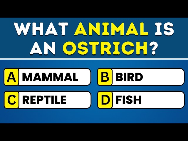 Your Mind Is Very Sharp If You Pass This General Knowledge Test! 🧠 100 Questions Challenge! 🔥